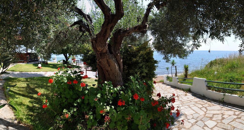 Alexiadis Apartments Agia Paraskevi  Room photo