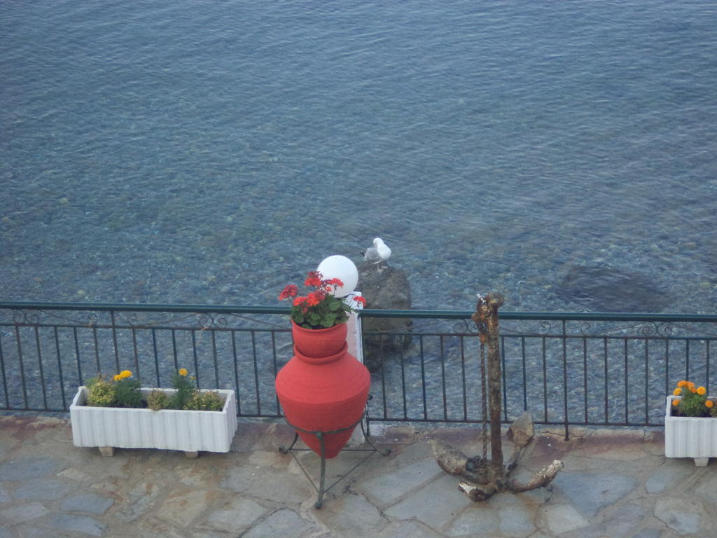 Alexiadis Apartments Agia Paraskevi  Room photo